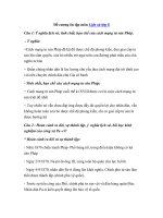 Tải Đề cương ôn tập môn Lịch sử lớp 8 - Tài liệu học tập môn Lịch sử lớp 8