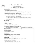 Tải Giáo án môn Kĩ thuật lớp 4 - Tuần 22 - Bài 12: Trồng cây rau, hoa (tiết 1)