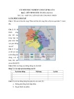 Tải Câu hỏi trắc nghiệm và bài tập Địa lý lớp 11: EU - Hợp tác, liên kết để cùng phát triển - Câu hỏi trắc nghiệm và bài tập Địa lý 11 - Bài 7: Tiết 2