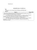 Download Đề và đáp án kiểm tra 15 phút sinh học 11 tháng 10