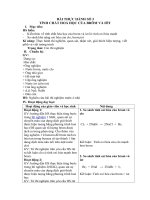 Tải Giáo án môn Hóa học lớp 10 bài 44 - Bài thực hành số 3