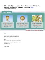 Tải Giải bài tập Family and Friends lớp 2 Unit 10: Lesson two - Giải bài tập Tiếng Anh lớp 2  Unit 10: A new friend!