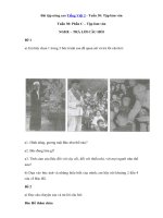 Tải Bài tập nâng cao Tiếng Việt 2 - Tuần 30: Tập làm văn - Bài tập Tập làm văn nâng cao lớp 2 tập 2