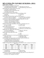 Download Đề cương ôn tập HKI môn địa lý 11