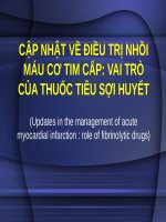 VAI TRÒ của THUỐC TIÊU sợi HUYẾT (BỆNH học nội) (chữ biến dạng do slide dùng font VNI times, tải về xem bình thường) 