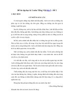 Đề ôn thi học kì 2 môn Tiếng việt lớp 5 – Năm 2019 – Đề số 3