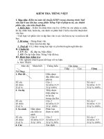 Tải Giáo án môn Ngữ văn lớp 6 bài 102 - Kiểm tra Tiếng Việt