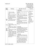 giáo án chính tuần 19. chủ đề 