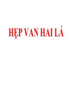 HẸP VAN HAI lá (BỆNH học nội) (chữ biến dạng do slide dùng font VNI times, tải về xem bình thường) 