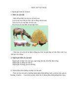 bài giảng và bài tập môn công nghệ 7 tuần 25  thcs cần thạnh