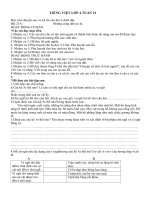 Hướng dẫn học Tiếng Việt 4: Bài 21A: Những công dân ưu tú (Tuần 21)