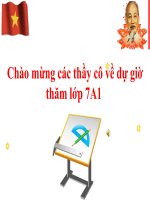 HH7. Tiết 20. Hai tam giac bang nhau