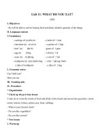Tải Giáo án Tiếng Anh 6 unit 11: What do you eat - Giáo án điện tử Tiếng Anh 6