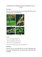 Tải Giải bài tập SGK Tự nhiên và xã hội 2 bài 30: Nhận biết cây cối và các con vật - Soạn Tự nhiên và xã hội lớp 2