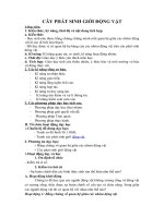 Tải Giáo án môn Sinh học lớp 7 bài 61 - Cây phát sinh giới động vật