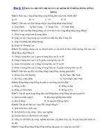 Tải Câu hỏi trắc nghiệm Địa lý 12 - Bài 33: Chuyển dịch cơ cấu kinh tế ở Đồng bằng sông Hồng - Đề thi trắc nghiệm Địa lý 12 có đáp án