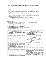 Tải Giáo án môn Sinh học lớp 11 bài 1 - Sự hấp thụ nước và muối khoáng ở rễ