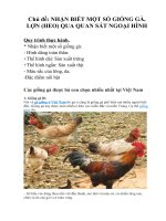 bài giảng và bài tập môn công nghệ 7 tuần 25  thcs cần thạnh