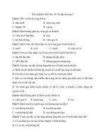 Tải Trắc nghiệm Sinh học 10: Ôn tập chương 3 - Bài tập trắc nghiệm Sinh học 10 có đáp án