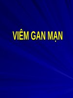 VIÊM GAN mạn (BỆNH học nội) (chữ biến dạng do slide dùng font VNI times, tải về xem bình thường) 