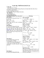 Tải Giáo án môn Hóa học lớp 10 bài 43 - Luyện tập nhóm halogen