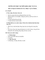 HƯỚNG DẪN HỌC TẬP TUẦN 26 MÔN: KHOA HỌC; SỬ; ĐỊA; ĐẠO ĐỨC; ÂM NHẠC; MỸ THUẬT; TOÁN; TIẾNG VIỆT