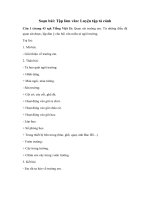 Tập làm văn: Luyện tập tả cảnh