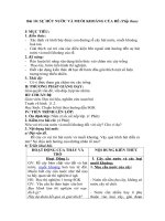 Tải Giáo án môn Sinh học lớp 6 bài 10 - Sự hút nước và muối khoáng của rễ