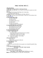 Tải Giáo án môn Sinh học lớp 7 bài 32 - Thực hành mổ cá