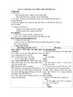 Tải Giáo án môn Tin học lớp 11 bài 13 - Chủ đề cấu trúc rẽ nhánh