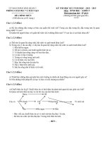 Download Đề thi HKII sinh học khối 9 - đề chính thức