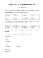 Tải Đề thi tiếng Anh giữa kì 2 lớp 8 năm 2019 - 2020 số 4 - Đề kiểm tra tiếng Anh 8 mới có đáp án