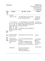 Tuần 12 nhu cầu gia đình