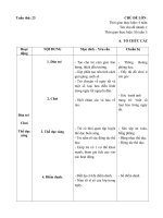 tuần 23 một số loại hoa và tết nguyên đán