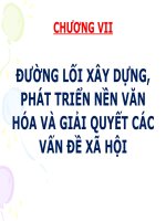 ĐƯỜNG lối xây DỰNG, PHÁT TRIỂN nền văn hóa và GIẢI QUYẾT các vấn đề xã hội (ĐƯỜNG lối CÁCH MẠNG của ĐCSVN)