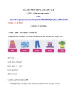 bài giảng trực tuyến tiếng anh lớp 3 tuần 24  tiểu học nhị xuân