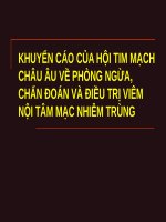 KHUYẾN cáo của hội TIM MẠCH CHÂU âu về PHÒNG NGỪA, CHẨN đoán và điều TRỊ VIÊM nội tâm mạc NHIỄM TRÙNG (BỆNH học nội) 