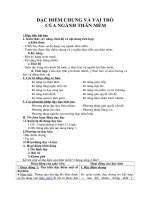 Tải Giáo án môn Sinh học lớp 7 bài 22 - Đặc biệt chung và vai trò của ngành thân mềm