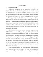 Doan Doi  THPT- Dang Van Quang - THPT Mai Anh Tuan - Nga Son