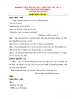 Phiếu học tập môn Ngữ văn 7 kì 2 ( có đáp án chi tiết) mới nhất