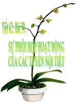 Sinh 8_Tuần 33_Tiết 62_Bài 59 Sự phối hợp hoạt động của các tuyến nội tiết_Nguyễn Thị Tú