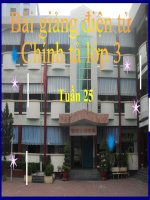 CHÍNH TẢ 3 - TUẦN 31 - BÁC SĨ Y-EC-XANH