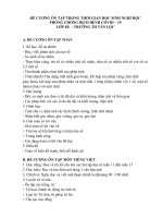 tải đề cương ôn tập môn Toán + Tiếng việt lớp 4B