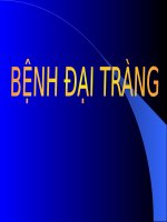 BỆNH đại TRÀNG, RUỘT NON (GIẢI PHẪU BỆNH) (chữ biến dạng do slide dùng font VNI times, tải về xem bình thường) 