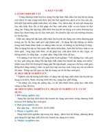 Sáng kiến kinh nghiệm “Bồi dưỡng học sinh giỏi tư duy giải sáng tạo  dạng bài tập hợp chất chứa lưu huỳnh  tác dụng axit nitric