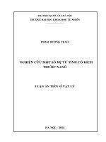 Nghiên cứu một số hiệu ứng động trong các hệ bán dẫn thấp chiều khi có mặt của sóng điện từ mạnh bức xạ laser