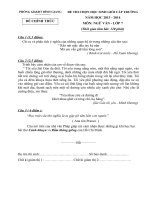 Đề thi học sinh giỏi cấp Trường môn Ngữ Văn 7