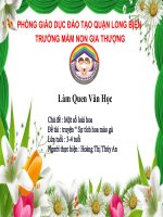 Lĩnh vực PTNN : Truyện Sự tích hoa mào gà Lứa tuổi: MGB