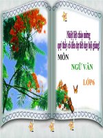 bài giảng môn ngữ văn 6