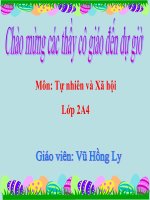 Tự nhiên và xã hội - Bài Tiêu hóa thức ăn